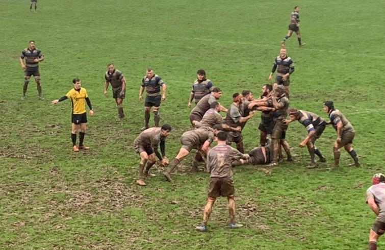 Seagulls defend well in the mud (Bill Carne)